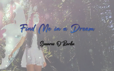 Find Me in a Dream – Seanrei O’Rorke